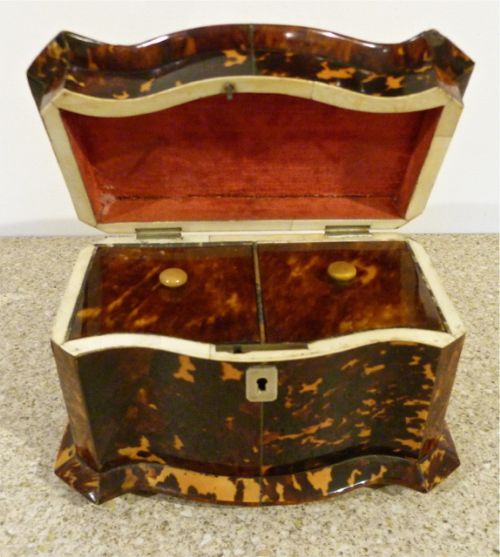 Regency English Tortoiseshell Tea Caddy