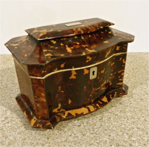 English Regency Tortoiseshell Tea Caddy