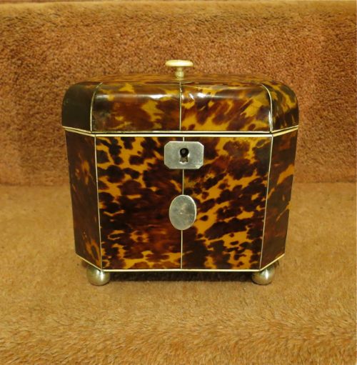 Pretty Small Regency Tortoiseshell Tea Caddy
