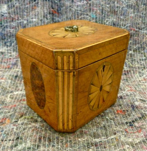 Sheraton Period Satinwood Tea Caddy
