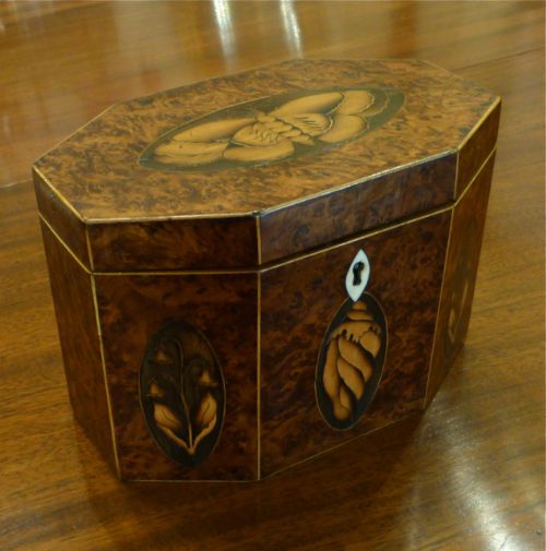 Impressive Early 19th Century Yew-wood Tea Caddy