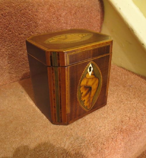 Inlaid Sheraton Period Cube Tea Caddy