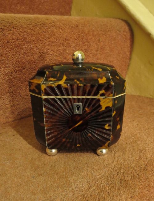 Pretty Regency 'Pressed' Tortoiseshell Tea Caddy