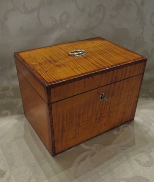 Sheraton Period Satinwood Tea Caddy