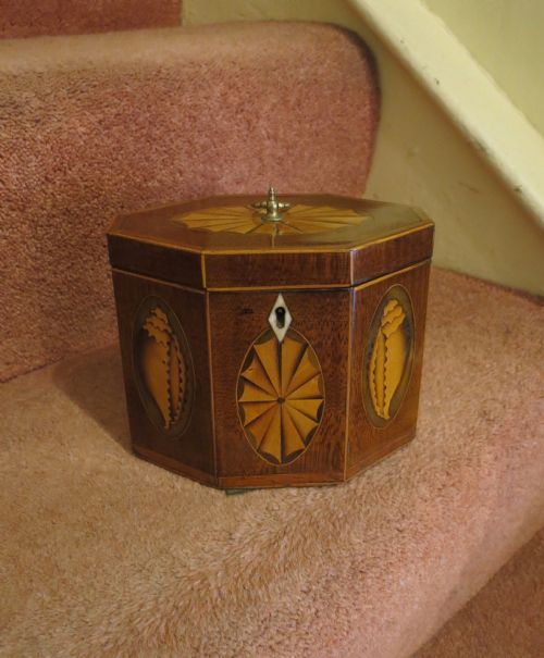 Pretty Sheraton Period Hexagonal Tea Caddy