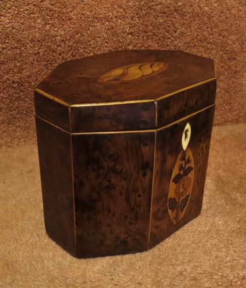 Early 19th Century Yew-wood Tea Caddy