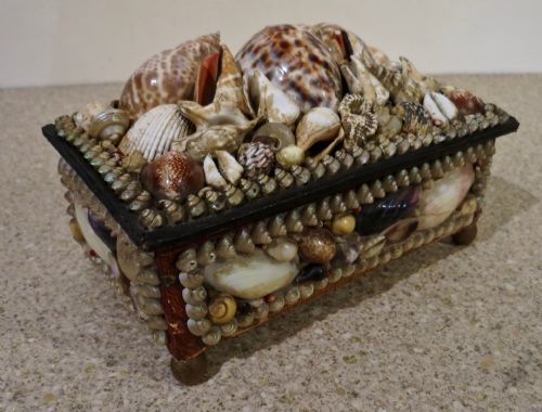 19th Century "Shell" Jewellery Box