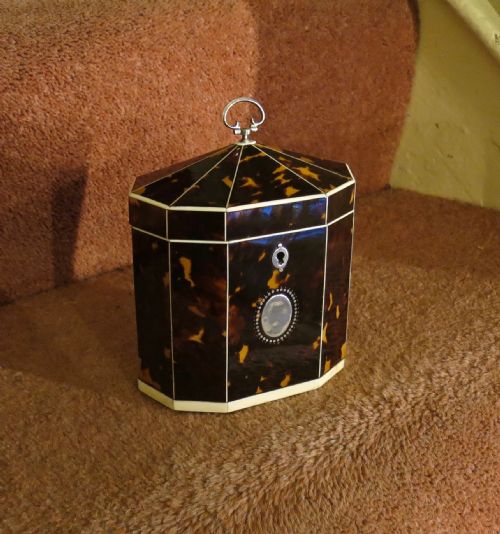 Fine 18th Century Tortoiseshell Caddy