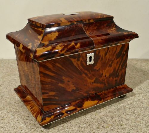 Pristine Regency Tortoiseshell Tea Caddy