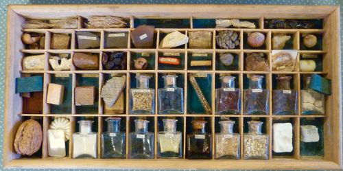 fig 2. A RARE VICTORIAN CABINET OF CURIOSITIES