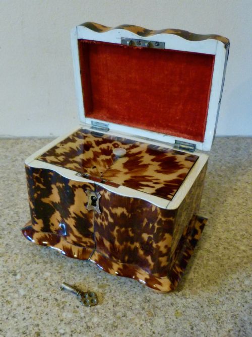 Good Regency "Tortoiseshell" Tea Caddy