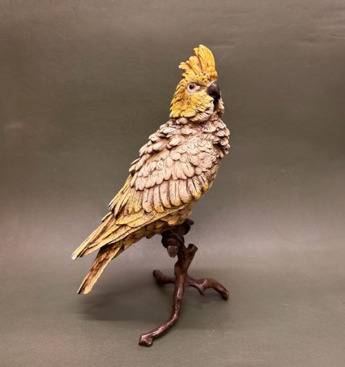 fig 1. Bergman: Large Austrian cold-painted bronze model of a Cockatoo