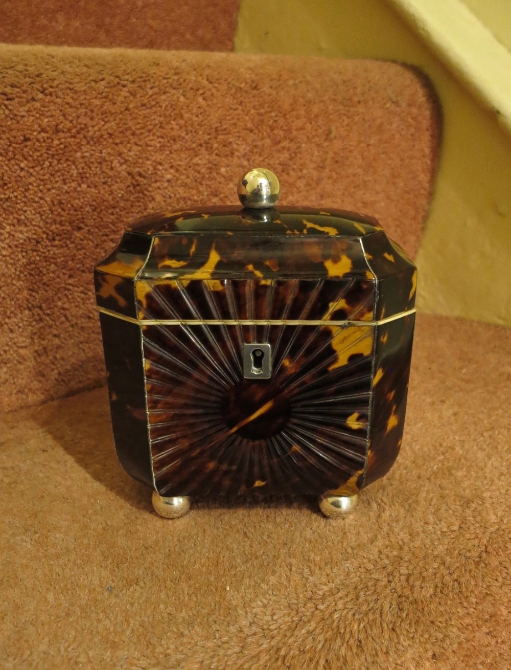 PRETTY REGENCY 'PRESSED' TORTOISESHELL TEA CADDY