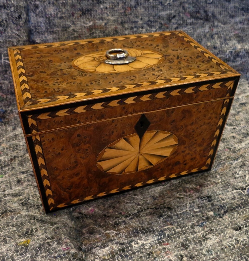 GOOD BURR YEW-WOOD TEA CADDY