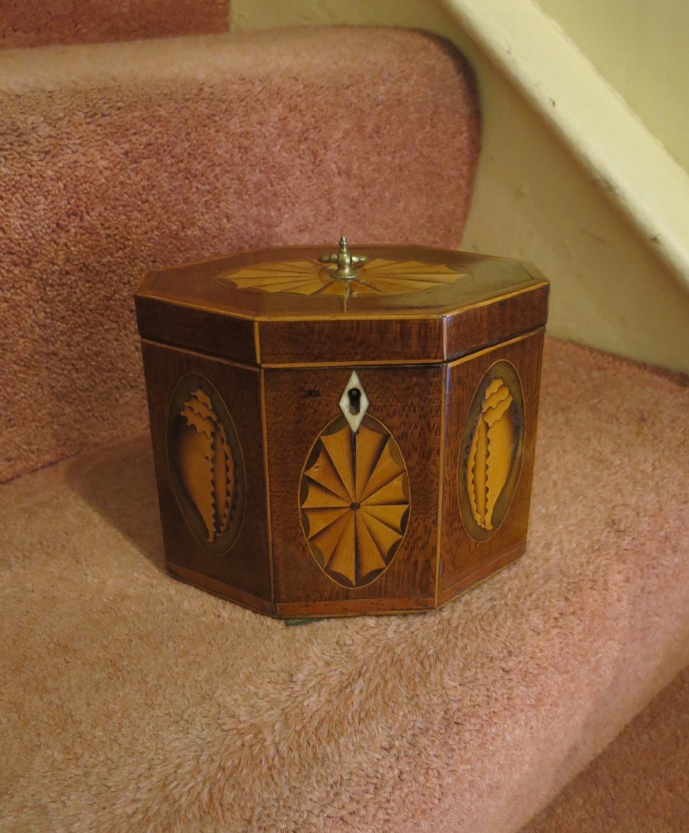 PRETTY SHERATON PERIOD HEXAGONAL TEA CADDY