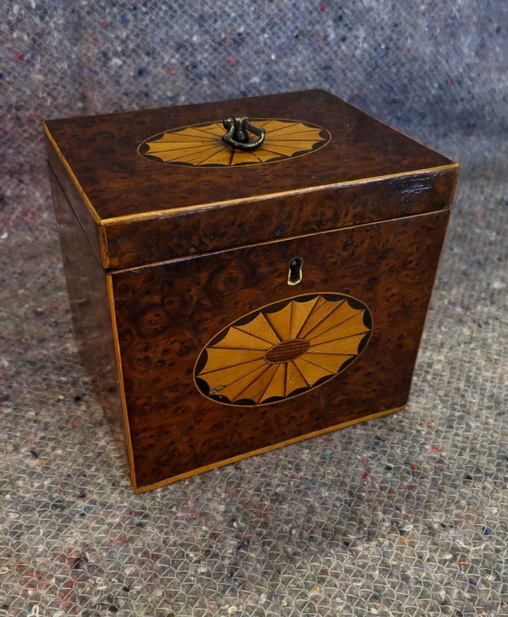 MARQUETRY INLAID BURR YEW TEA CADDY