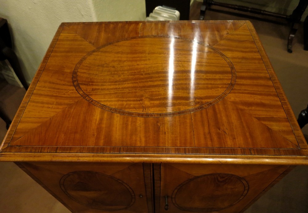SHERATON COLLECTORS CABINET FULL OF FOSSILS View IV