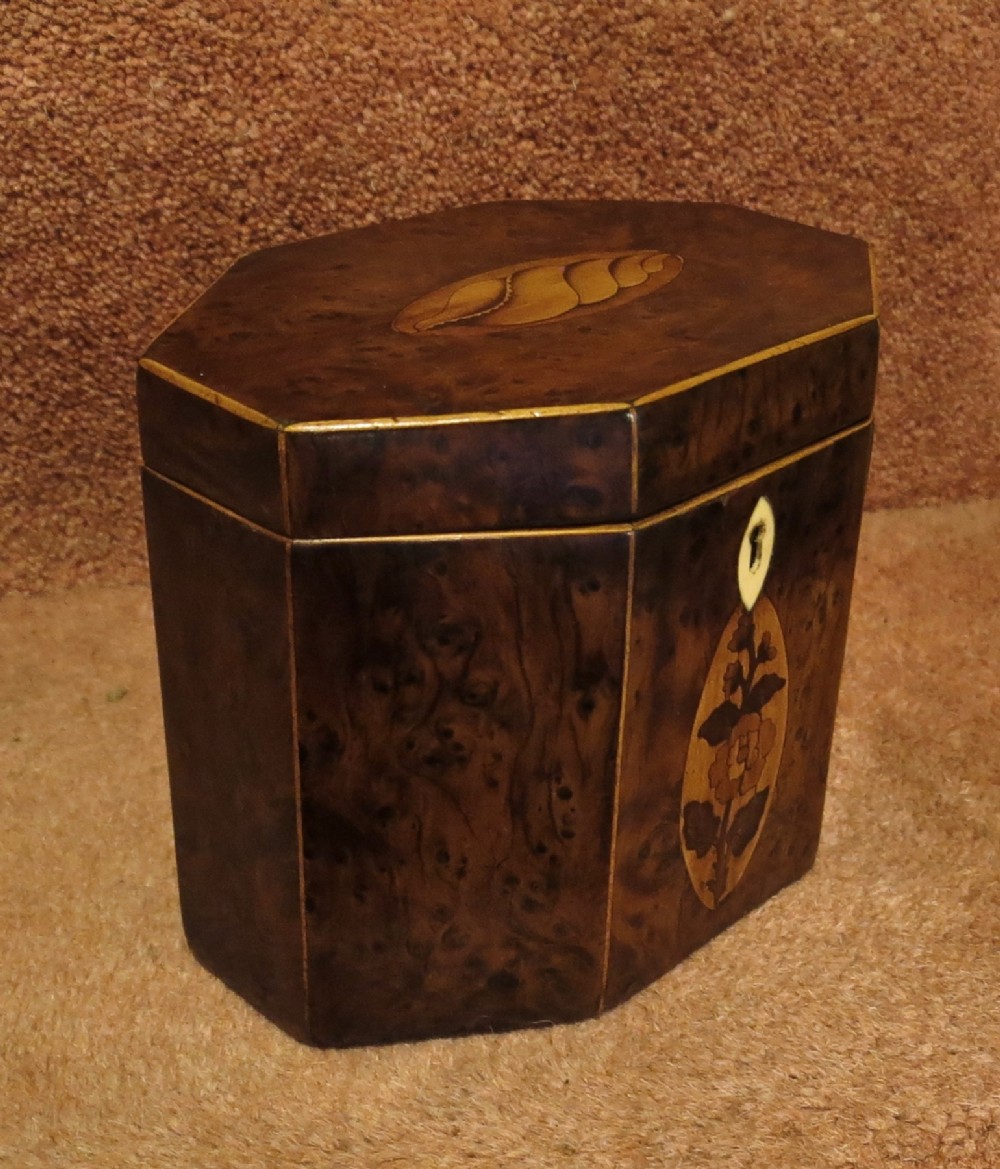 EARLY 19TH CENTURY YEW-WOOD TEA CADDY