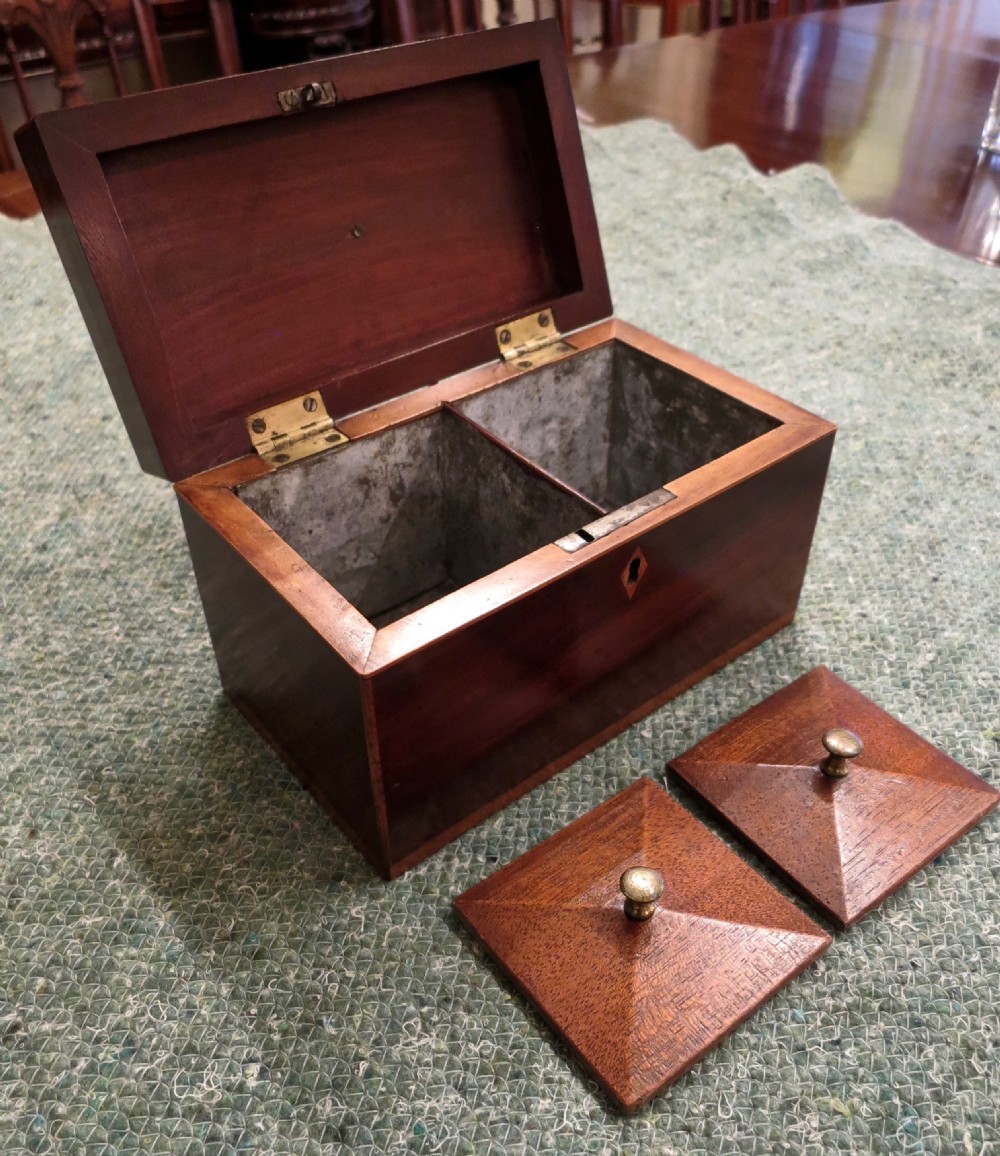 EARLY 19TH CENTURY 'DOUBLE' TEA CADDY View II