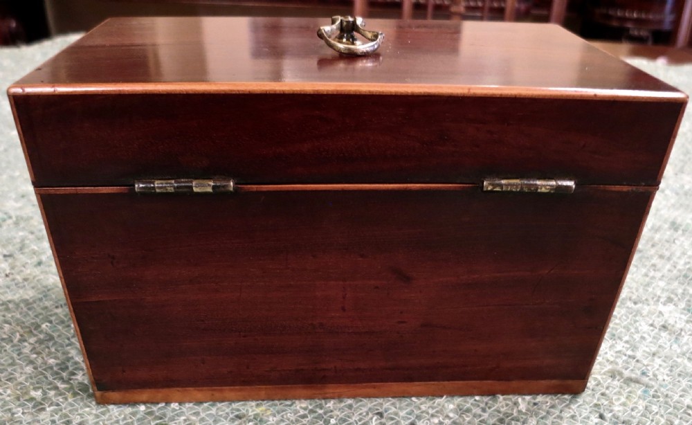 EARLY 19TH CENTURY 'DOUBLE' TEA CADDY View V