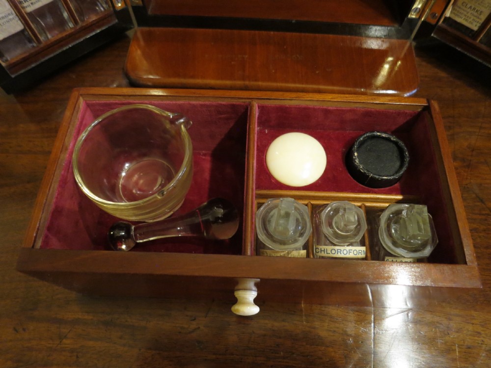 LARGE FULLY FITTED APOTHECARY'S CABINET View IV