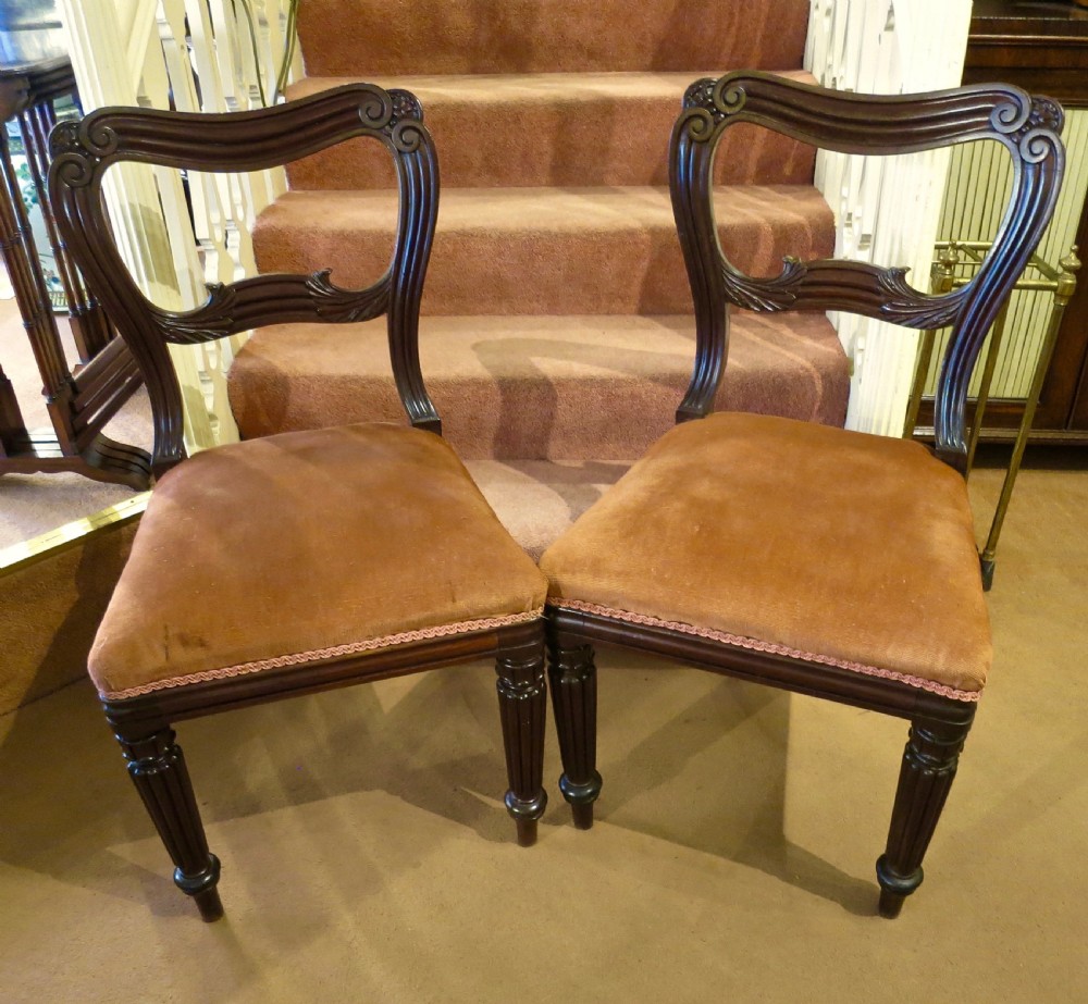 A pair of carved mahogany balloon-back dining chairs with brown velvet upholstered seats and fluted turned legs.