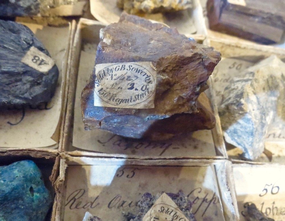 A PROFESSIONAL COLLECTION OF MINERAL SPECIMENS View VI