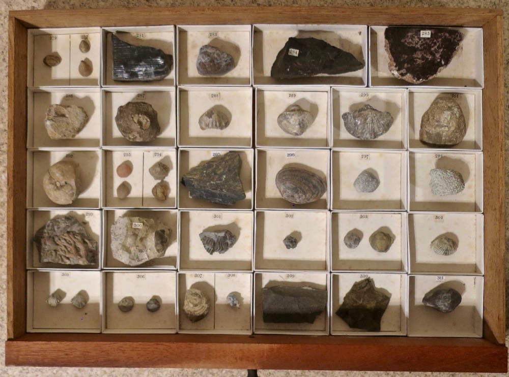 RARE CABINET OF MINERALS & FOSSILS BY JAMES TENNANT View XI