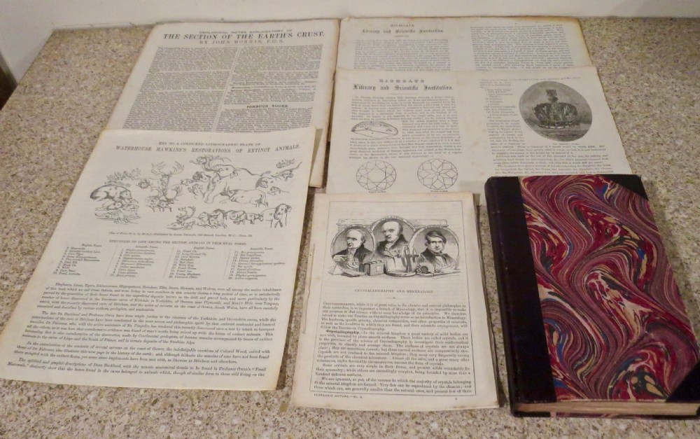 RARE CABINET OF MINERALS & FOSSILS BY JAMES TENNANT View XIV