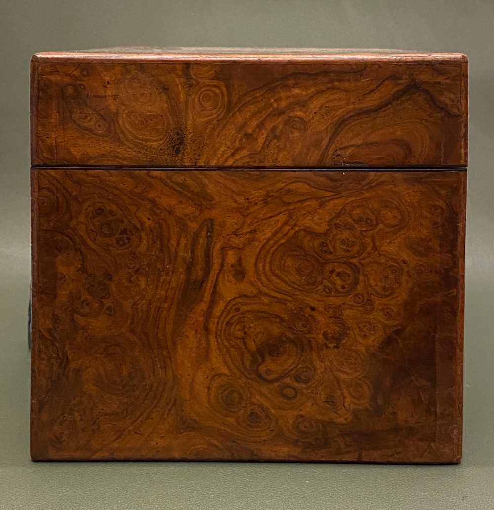19th century Burr Yew-wood Tea Caddy with single Tea Canister & Blue-Glass Sugar Bowl View VIII