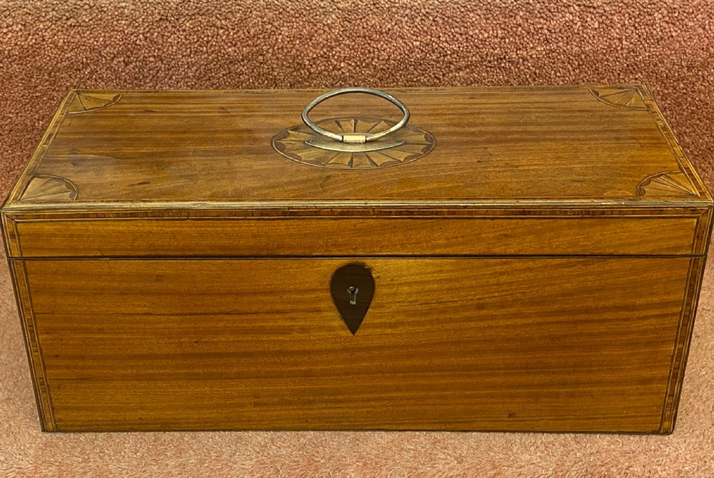A large Sheraton period inlaid satinwood double TEA CADDY with sugar bowl View VI