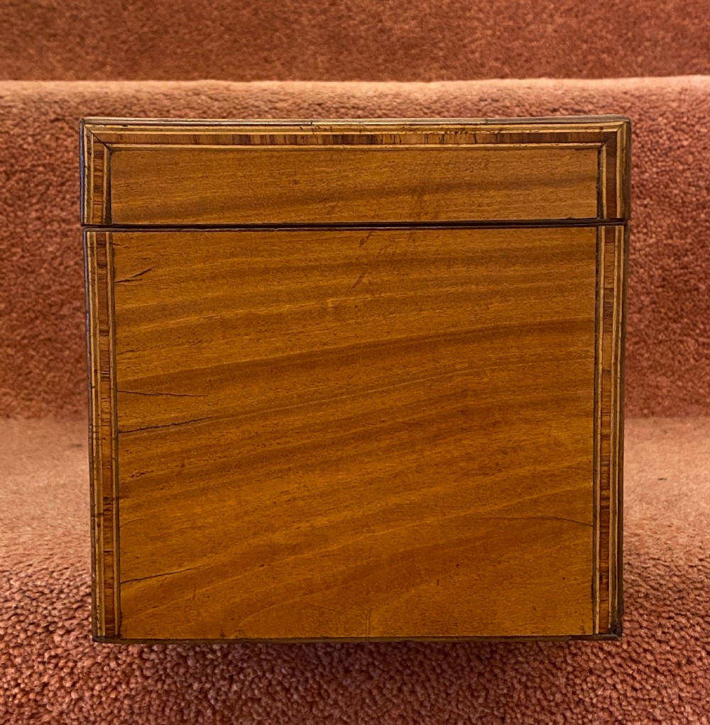 A large Sheraton period inlaid satinwood double TEA CADDY with sugar bowl View X