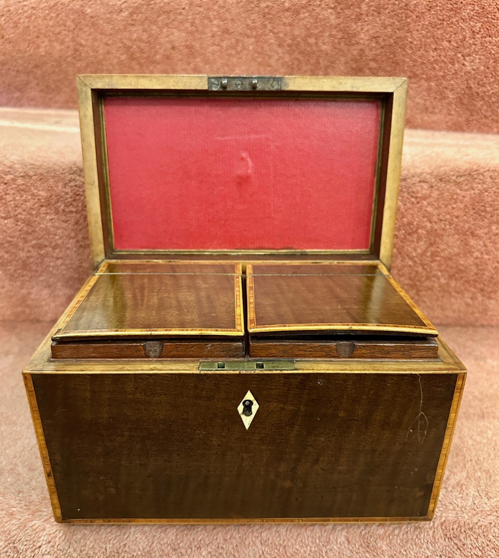 19th century mahogany twin canister (double) Tea Caddy