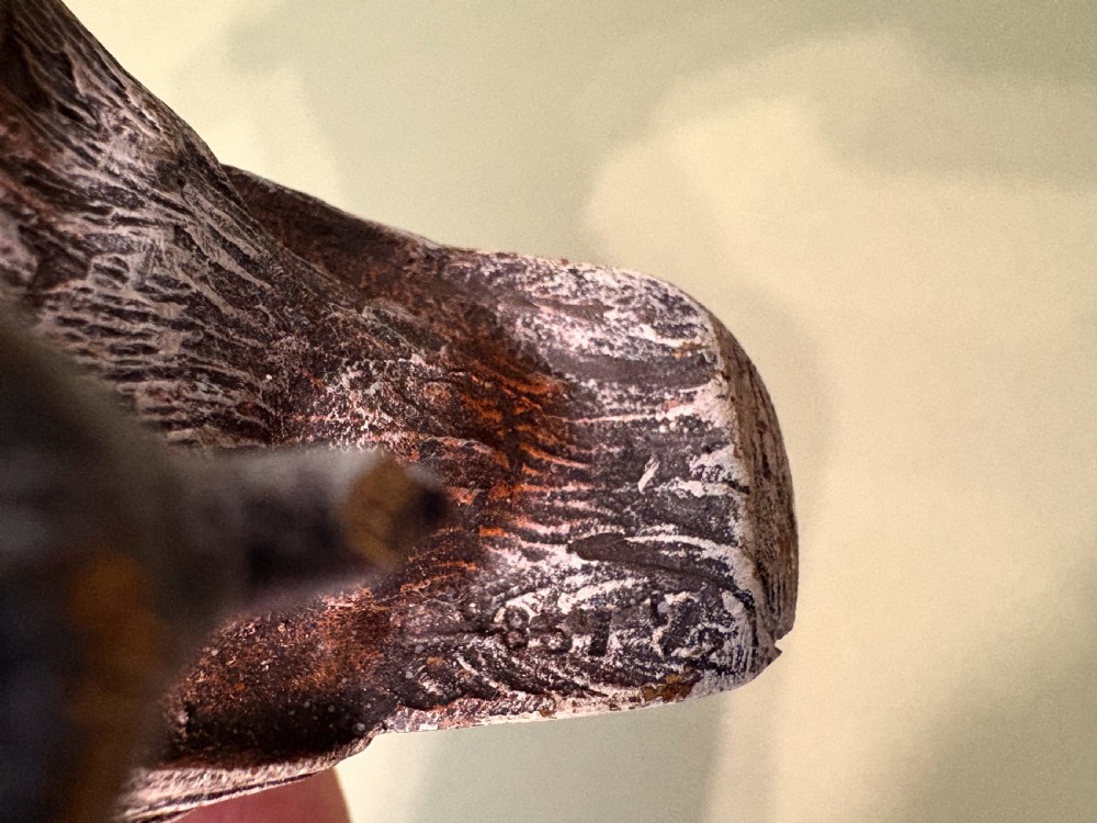 SUPERB PAIR OF AUSTRIAN BRONZE PARTRIDGES View VIII