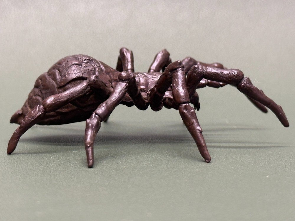 A detailed patinated dark brown bronze okimono sculpture modelled in the form of a tarantula spider. View IV