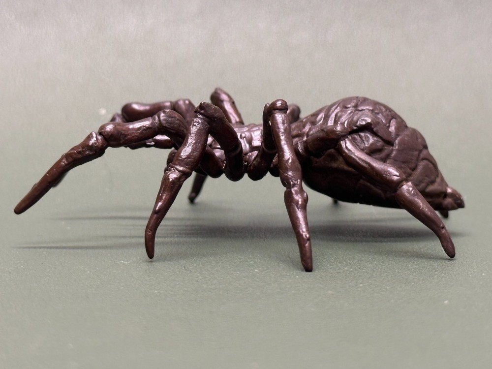A detailed patinated dark brown bronze okimono sculpture modelled in the form of a tarantula spider. View V