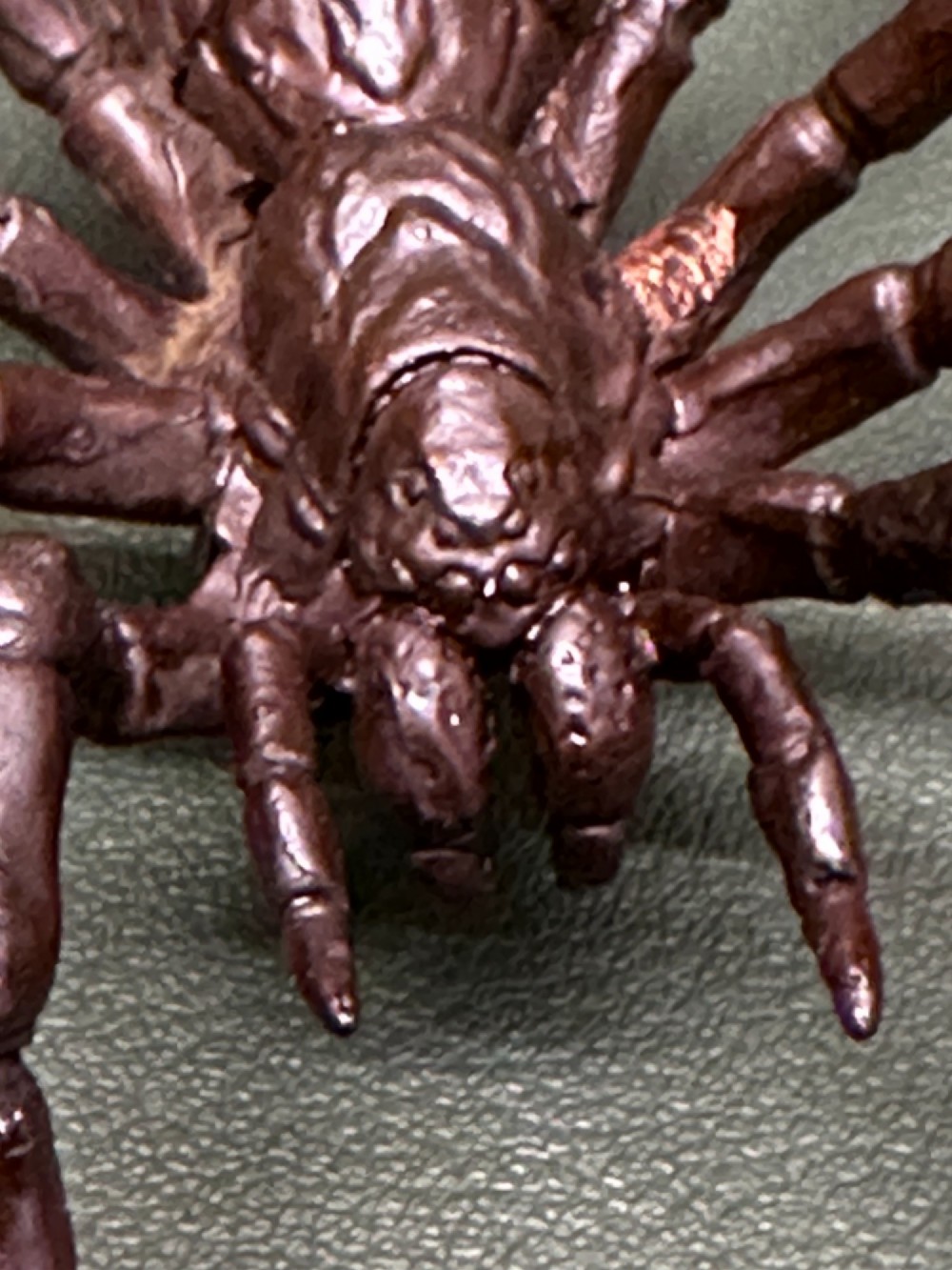 A detailed patinated dark brown bronze okimono sculpture modelled in the form of a tarantula spider. View VIII