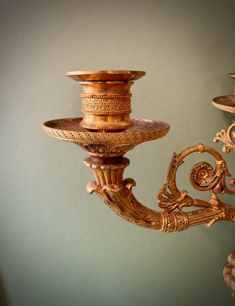 A pair of five-light gilt bronze ormolu candelabra featuring scrolling branches, acanthus leaf casting, and circular gadrooned bases. View V