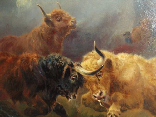 fig 1. William Watson Jnr, Highland Cattle Rutting, Victorian Oil Painting