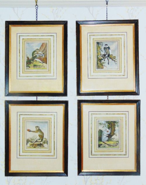 Set of 4 Hand Coloured Engravings Jacques De Seve French 18th Century