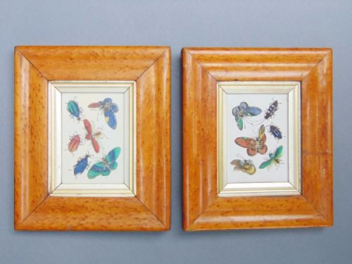 Pair of 19th Century Chinese Watercolour Paintings Butterflies and Insects