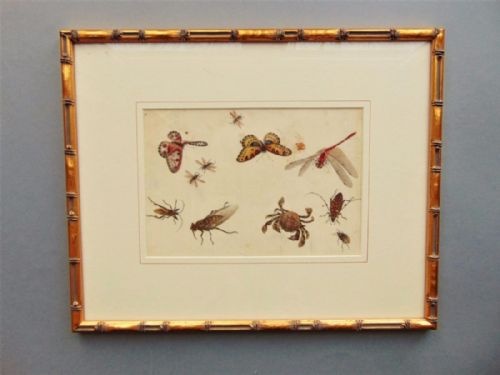 19th Century Chinese Watercolour Painting on Pith Insects