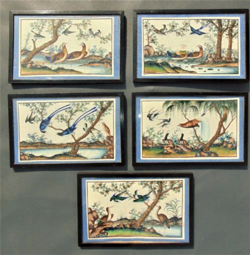 Set of 5 Chinese Watercolour Painting on Pith Exotic Birds 19th Century