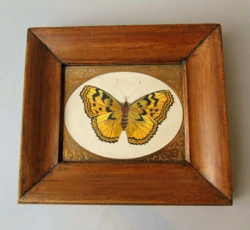 Antique Hand Painted Butterfly Watercolour