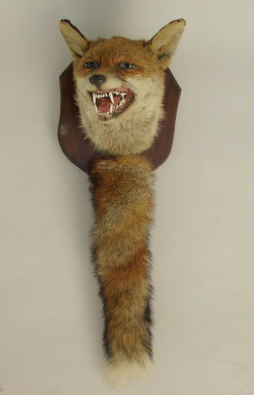 Taxidermy Fox Mask & Brush Mount