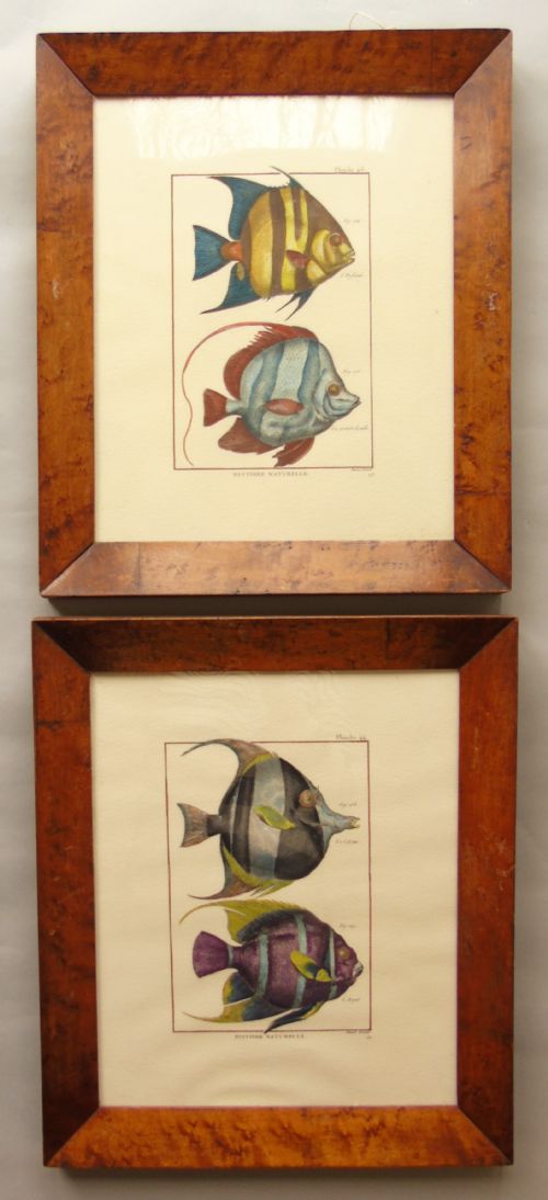 Antique Pair Hand Coloured Engravings Fish