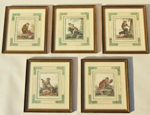 Set of Five French Hand Coloured Engravings of Monkeys