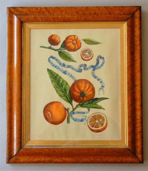 Antique Hand Coloured Stipple Engraving Oranges