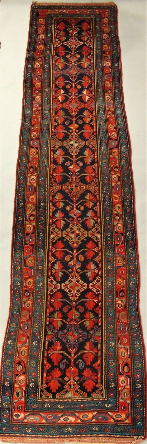 North West Persian Runner