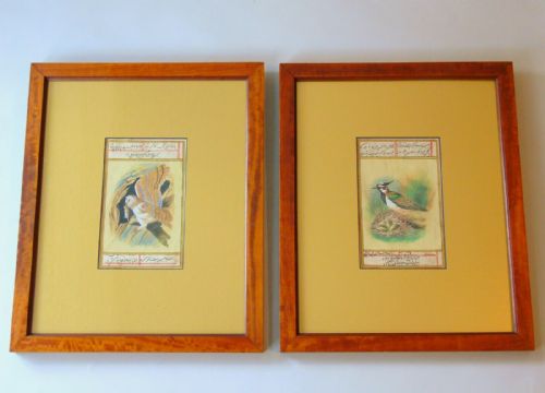Pair of Antique Persian Gouache Paintings of Birds